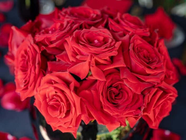 A close-up of vibrant red roses arranged in a round bouquet